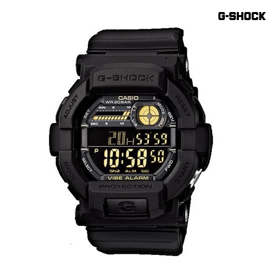 GD-350-1BDR.JPG